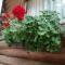 Cabana Rustic Balea