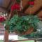 Cabana Rustic Balea