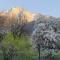 VILLA LAGO foreground - Pet friendly stay- garden-parking-Lake view- Bike friendly holiday house