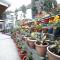 Sikkim Tourist Centre