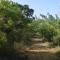 Lavish Eco Jungle