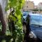 Milic Apartments