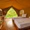 Wild Glamping Knuckles - Thema Collection
