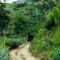 Wild Glamping Knuckles - Thema Collection