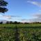 Gilberts End Farm