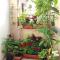 Apartment Bucevic