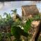 GuaiGüí Bayahibe - 巴亚希贝