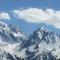 Le petit Saint Bernard