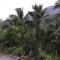 360 Rainforest