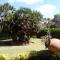 Venecia Apartments