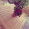 Studio apartman Villa Gianna