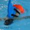 Ferienhof A&B Wellness Villa 6 personen