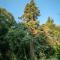 Le Clos dAbrigeon