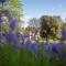 Dales Country House Hotel