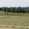 Dunchraigaig House
