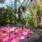 The Tree Samui