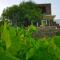 Cycladic Vineyard House - Аполлония