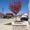 Apartman Bedem