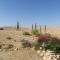 Foto: Succah in the Desert 30/168