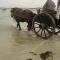 ty dreux entre terre et mer