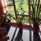Pension Appartement Ambrosi