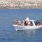 Vila Velebit