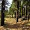 Cozy Mountain Home with Deck and Firepit-1 Mile from Downtown Flagstaff!