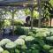 Irish Bowtop op het platteland van Huize Ouwervelden