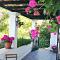 Casas Rurales Los Algarrobales