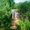 The Birders Lodge Khao Yai