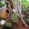 PositiveSpace Olive Tree