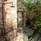 PositiveSpace Olive Tree