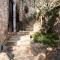 PositiveSpace Olive Tree
