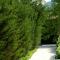 Seaside Apartments Laurus Murter