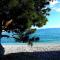 Anicas panoramic sea weue