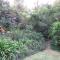 Green Pascua Bed and Breakfast - Roodepoort