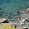 AdeleBeppe "The SeaView"