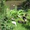 Heathergate Cottage Dartmoor BnB