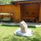 Pension Wald