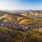 Duplex Saint Lustre, view over castle and storks, 5 mn from Colmar - 埃圭斯海姆