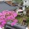 Hanok Dream