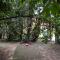 Vatican Quiet Apartment with Garden & Parking