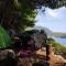 THE SEA CAVE CAMPING