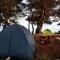 THE SEA CAVE CAMPING