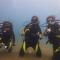 AivyMaes Divers Resort - Dauin
