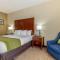 Comfort Inn Lenoir City-Knoxville