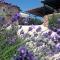Lavender Hill Hvar Villa - pool, jacuzzi,sauna,BBQ - Stari Grad
