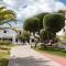 Hotel Palia Dolce Farniente 3 Sup