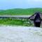 Karine B&B - Yeghegnadzor
