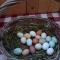 Agritur Airone Bed & Camping
